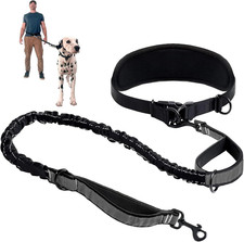 Joggingleine Hunde, Freihandleine Hund, Hundeleine Große Hund, Bauchgurt Hundele