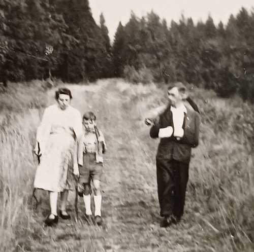 Familie wandert mit jungen - wandert,