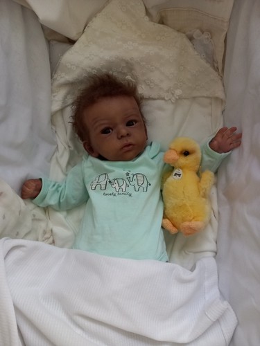 Reborn baby rebornbaby - baby, tim