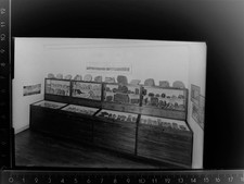 30088394 - 5840 Schwerte