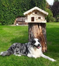 Vogelhaus, Luxus Vogelhaus XL ,Holz, Handarbeit, Blockhausstil