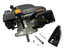 6,5 PS Zongshen XP200A 196cc