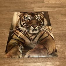 Schallbildkarte Supraphone