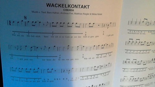 Wackelkontakt für steirische - wackelkontakt,