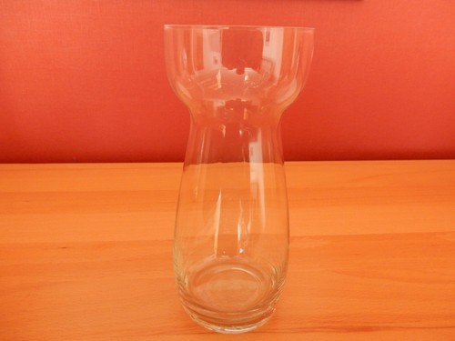 Hyazinthen glas vase - hyazinthen,