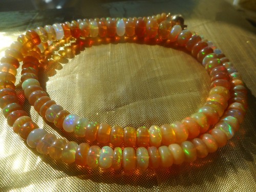 Elegantes aaa welo - elegantes,