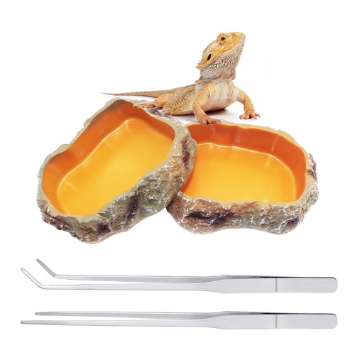 Reptile growth terrarium - growth,