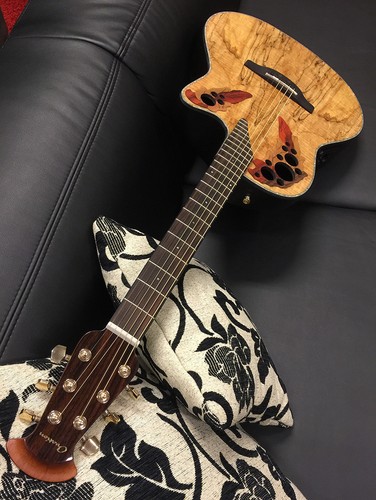 Ovation ce44p celebrity - ovation, ce44p-sm-g