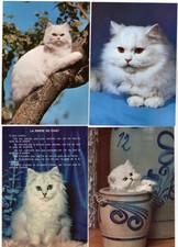 4 AK Katzen, Postkarten