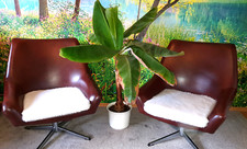 2 Drehsessel 1A Top! Club Bar Sessel DDR Retro Vintage 80.er