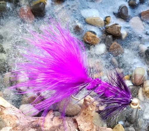Gilchrist fliegen x - gilchrist,