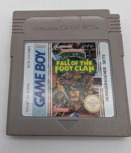 Turtles fall the foot - turtles,