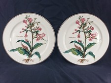 2 VILLEROY & BOCH BOTANICA 12"
