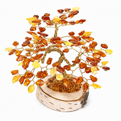 Bernstein bäumchen bonsai - bäumchen,