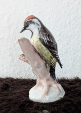 wunderschöne Rosenthal Vogel