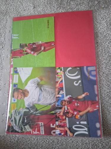Xherdan shaqiri bayern - shaqiri, fc