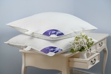 PREMIUM_DAUNENKISSEN -