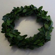 Buchskranz künstlich Buxring