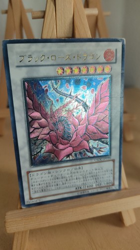 Black rose dragon schwarzer - black,