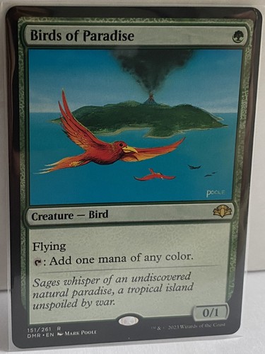 Birds paradise 151 - paradise,