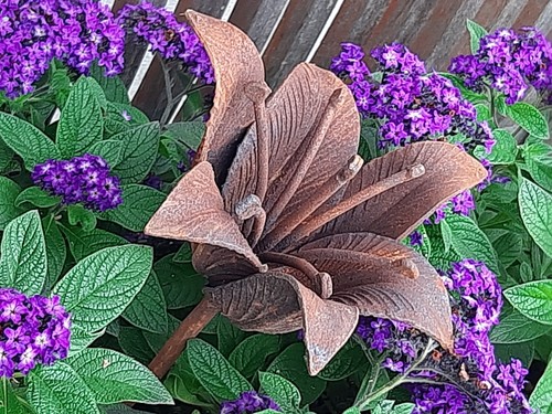 Edelrost lilie blume zum - edelrost,