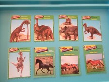 Micky Maus Sammelkarten 8 Stück Dinosaurier + berühmte Pferderassen