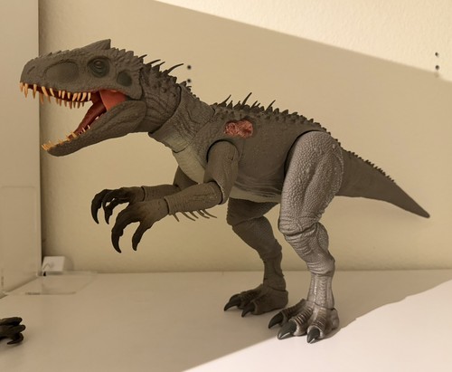 Hammond collection indominus - hammond, collection: