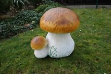 Steinpilz Pilz Pilzpaar