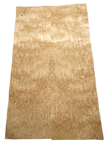 Birke maser holzfurnier - birke,