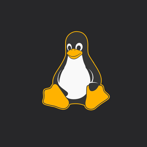 Apache nginx webserver - nginx,