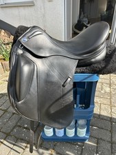 Euroriding Prestige Emilio K