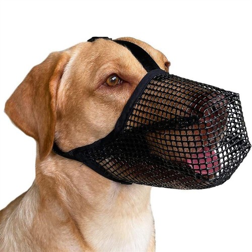 Hundemaulkorb anti lecken - hundemaulkorb, anti-lecken