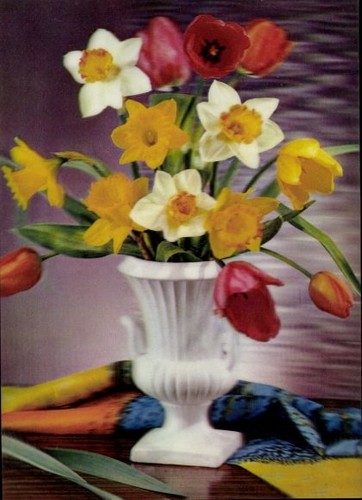 Narzissen und tulpen - 3-d, in