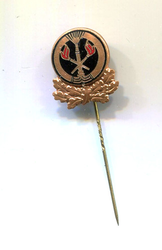 Feuerwehr ehrennadel - feuerwehr,