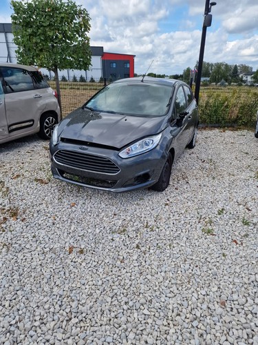 Gebrauchter motor ford fieste - gebrauchter,