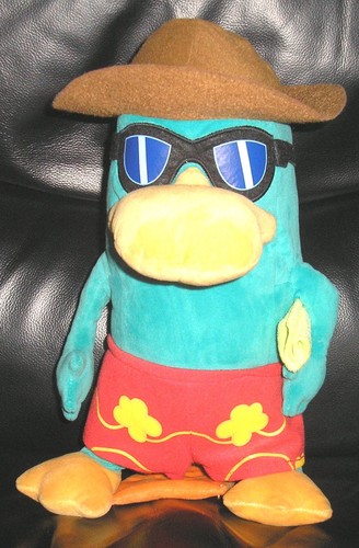 Perry agent schnabeltier - p,