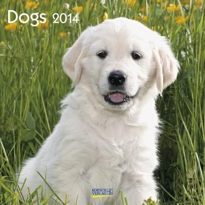 Dogs 2014 broschürenkalender - dogs, 2014.