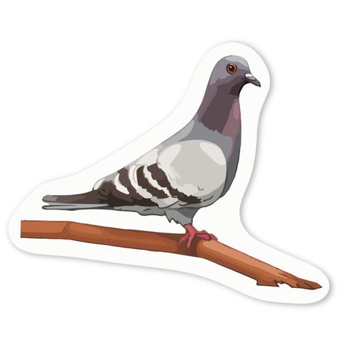 Pigeon branch decal - 'pigeon, branch'
