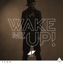 Wake Me Up (2-Track) von