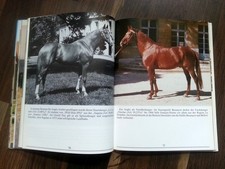 Pferdezucht Frankreich *
