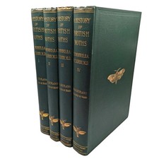 British Moths & Butterfly's, Colour Plates, Complete, Very Good Condition, 1903