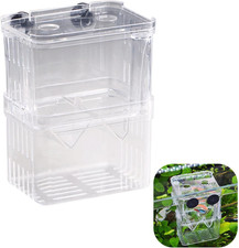 Acryl Aquarium Aufzuchtbecken