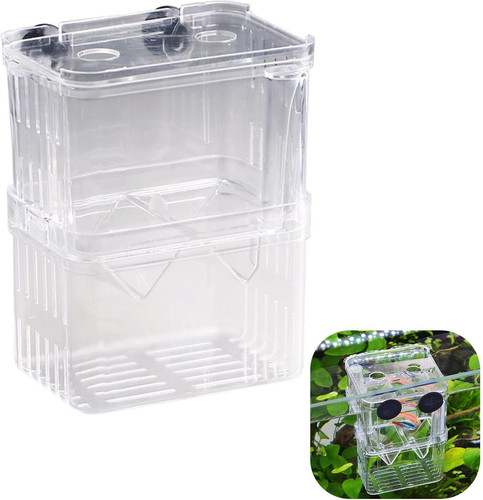 Acryl aquarium aufzuchtbecken - acryl,