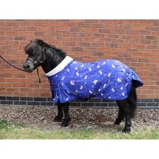 Ruggles Shetland - Miniatur -