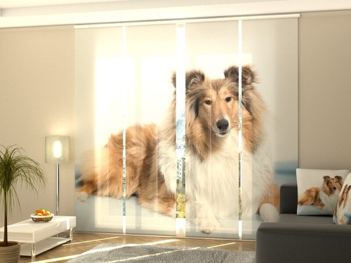 Foto schiebegardine collie - foto-schiebegardine,