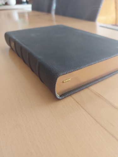 Rev elberfelder bibel csv - rev.,