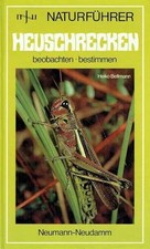 Heuschrecken beobachten-