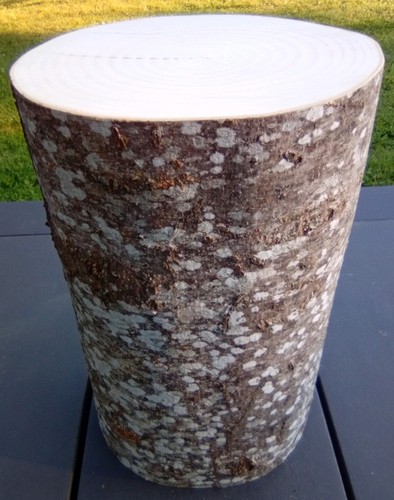 Baumstamm holzstamm natur deko - natur,