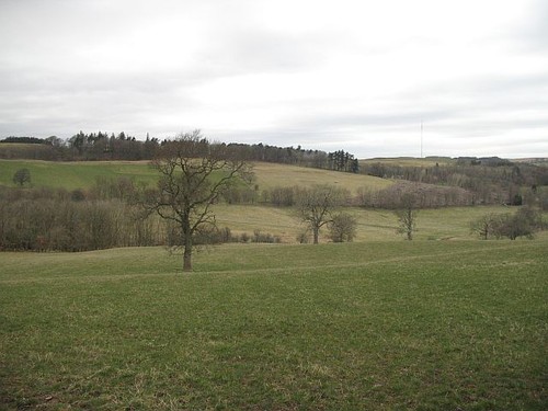 Foto 6x4 felder - felder, synton