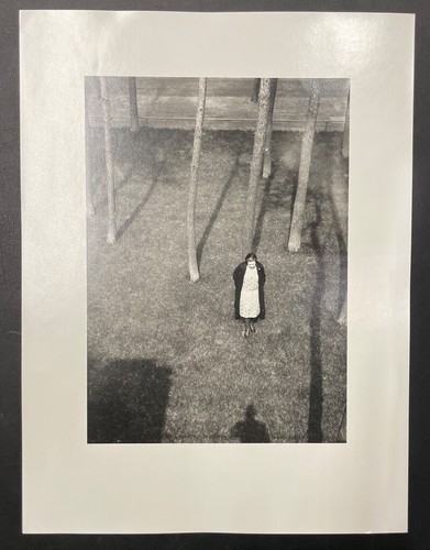 Laszlo moholy nagy lucia - laszlo, moholy-nagy